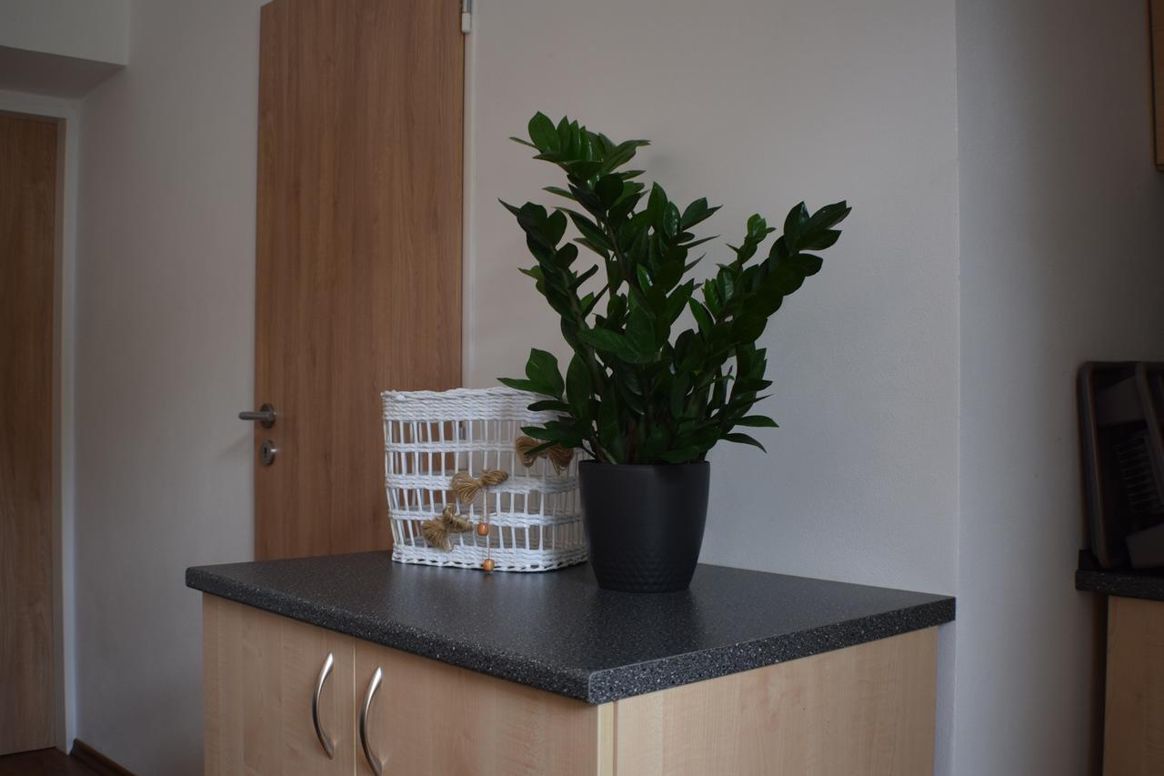 Apartmany Lipa Tabor Exterior photo